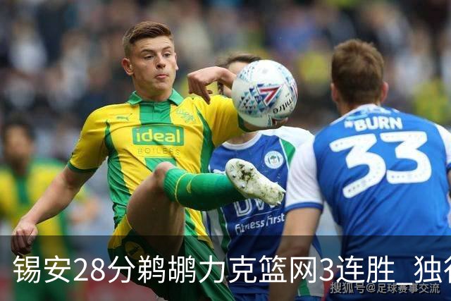 锡安28分鹈鹕力克篮网3连胜 独行侠险胜马刺